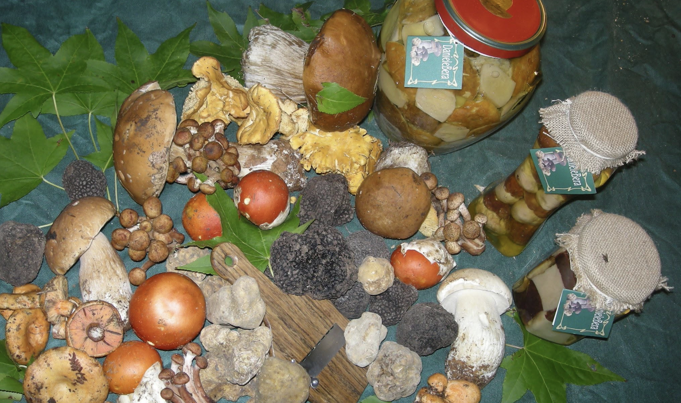Daniele Bera - Truffes - mélange champignons | Cave chez Nathalie