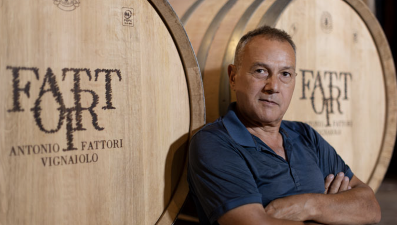 Azienda Agricola Fattori - Vénétie - Amarone | Cave chez Nathalie