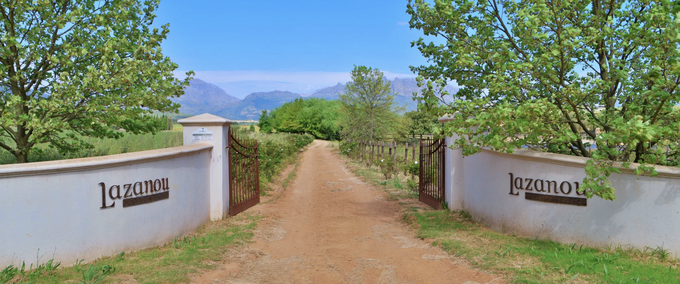 Lazanou Wines - Chenin Chardonnay Viognier Bio - Cave chez Nathalie
