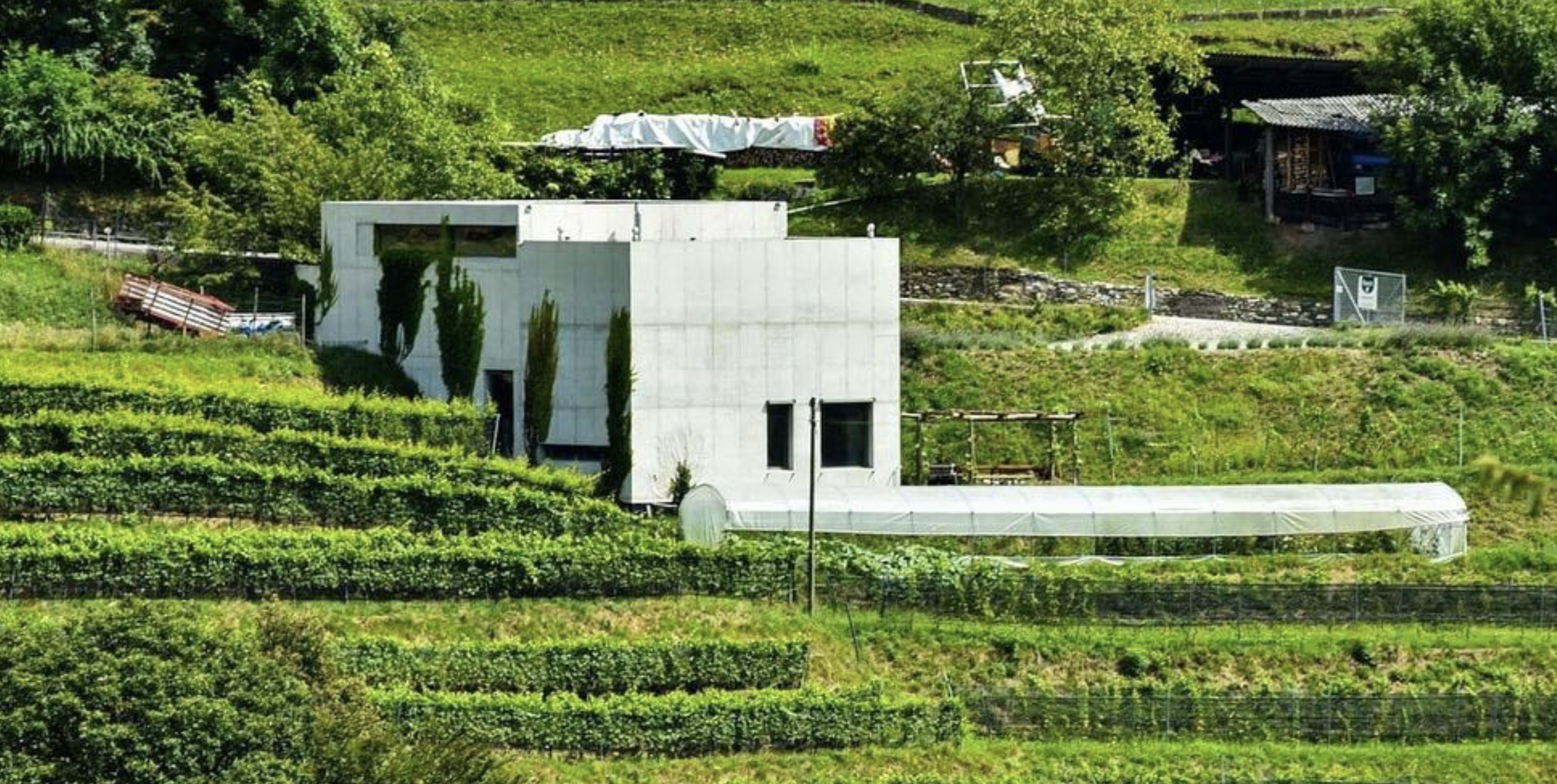 Azienda Bianchi - Grappa nostrana | Cave chez Nathalie