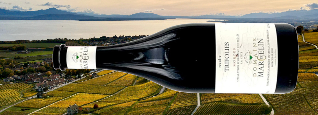 Trifolies | Domaine de Marcelin