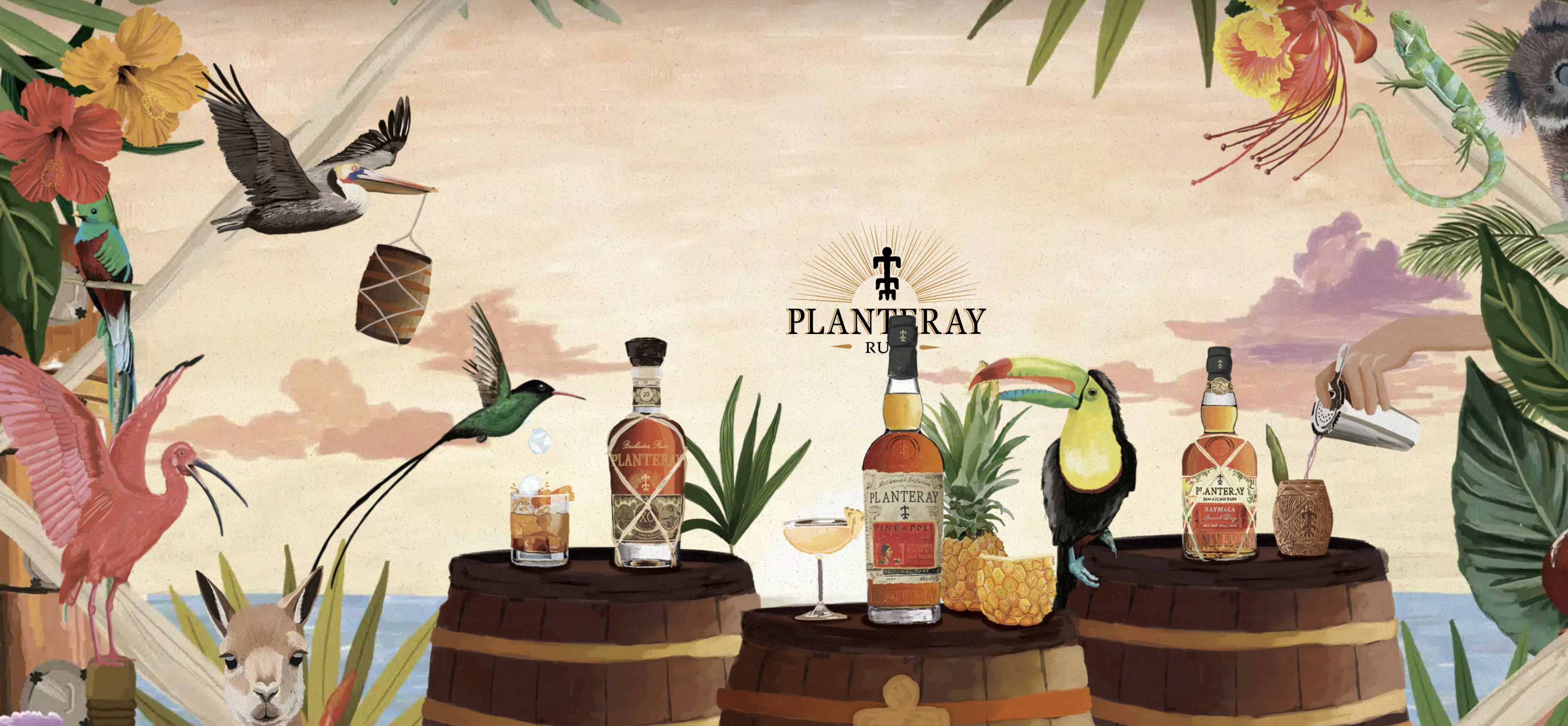 Planetray distillerie rhum - Cave chez Nathalie