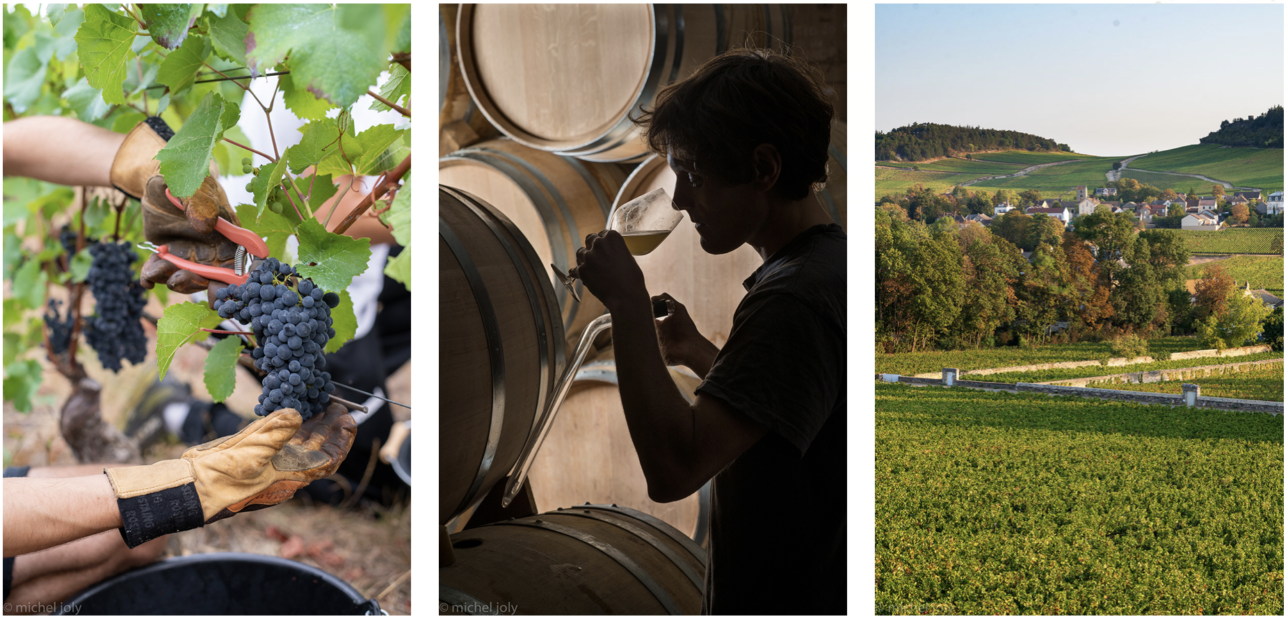 Cave des Vignerons de Buxy - Bourgogne | Cave chez Nathalie
