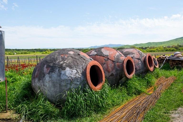 Grès et argile avec de grandes jarres en terre cuite enterrées à l’extérieur dans un vignoble, prairies et collines au loin