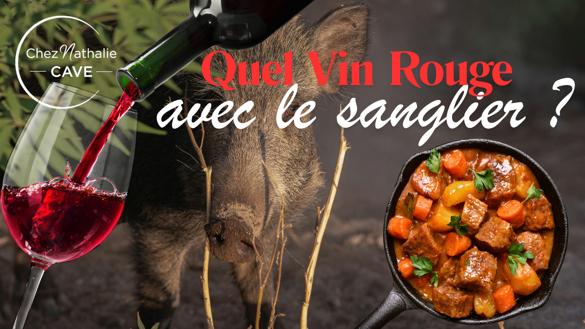 Quel vin rouge avec le sanglier ? Accords par préparation