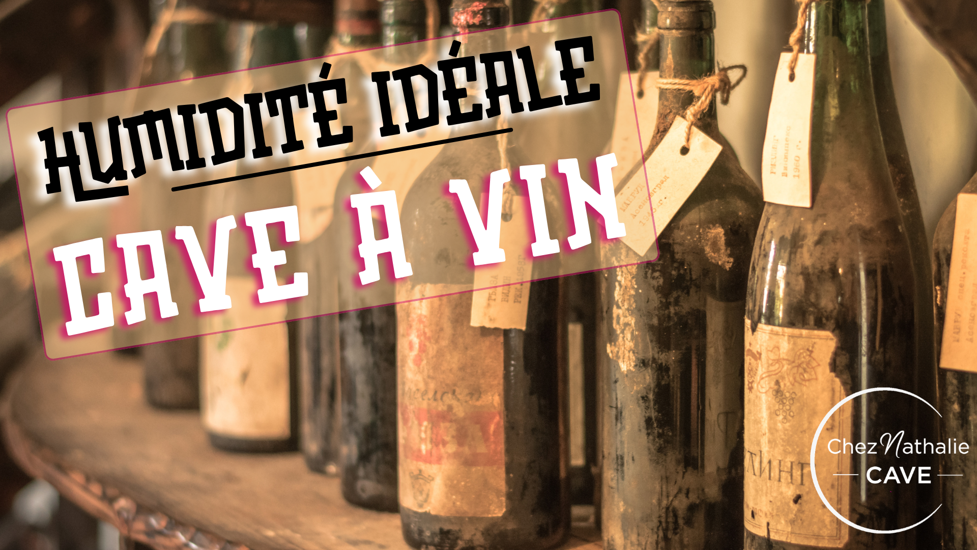 Humidité idéale pour une cave à vin : guide de l'hygrométrie