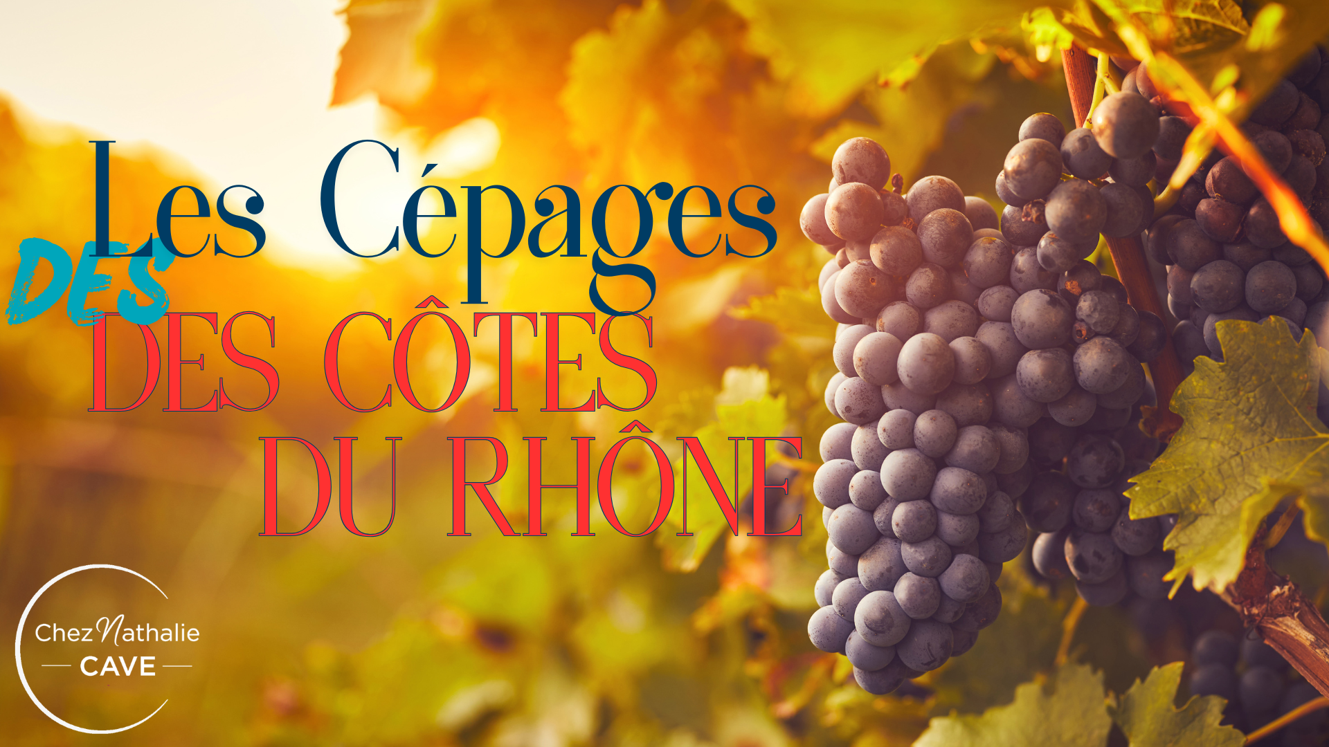 Cépage Côte du Rhône rouge: Grenache, Syrah, Mourvèdre