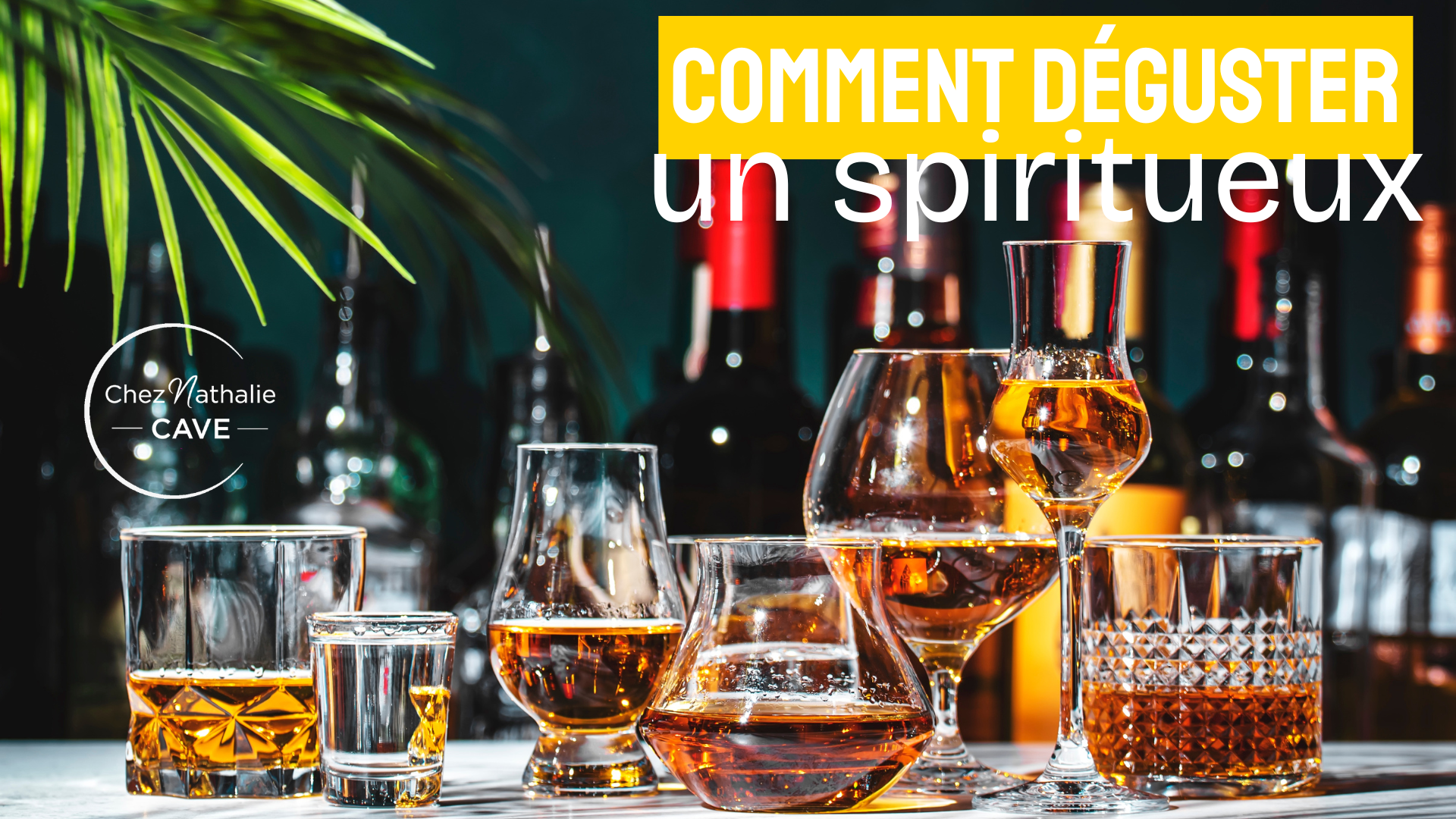 Comment déguster un spiritueux : maîtriser l'art de déguster